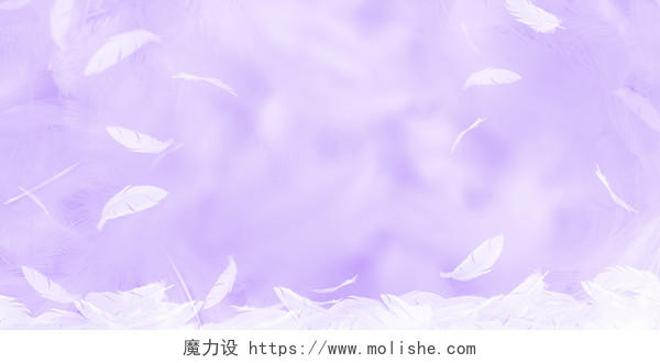 紫色浪漫唯美简约大方羽毛创意边框羽毛背景展板